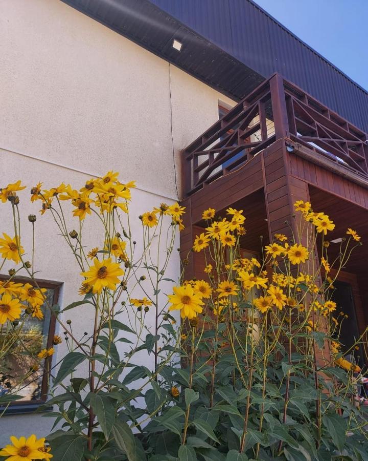 Guest House Tenir Too Naryn Εξωτερικό φωτογραφία